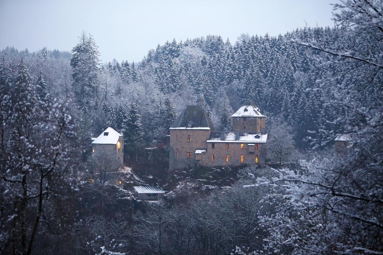 Le Bonheur De La Cascade 24 Pers - Malmedy, Wellness, Jardin, Confort Экстерьер фото